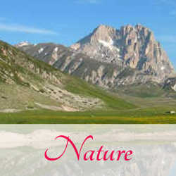 naturaicona